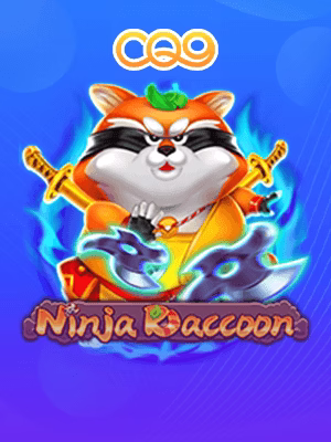 Ninja Raccoon